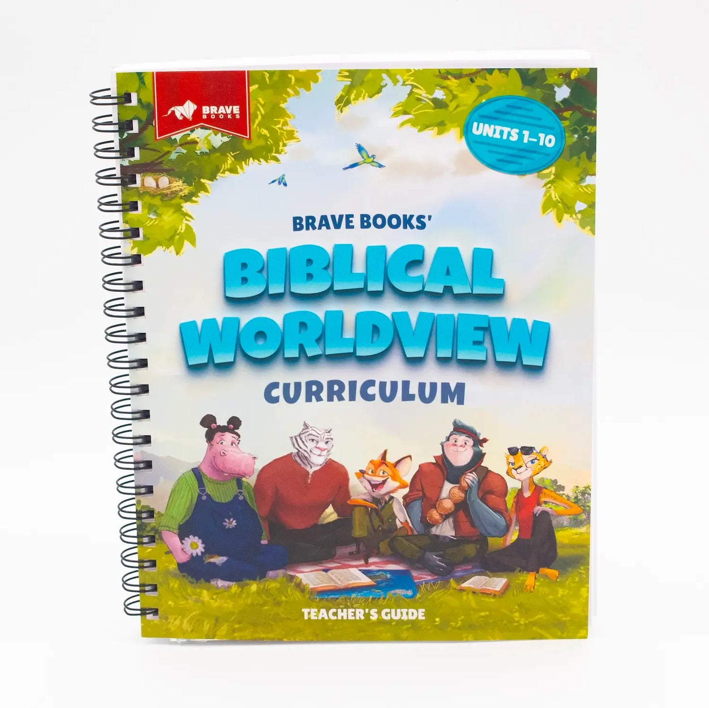 Book titled 'Biblical Worldview Curriculum' by Brave Books with cartoon characters on a white background