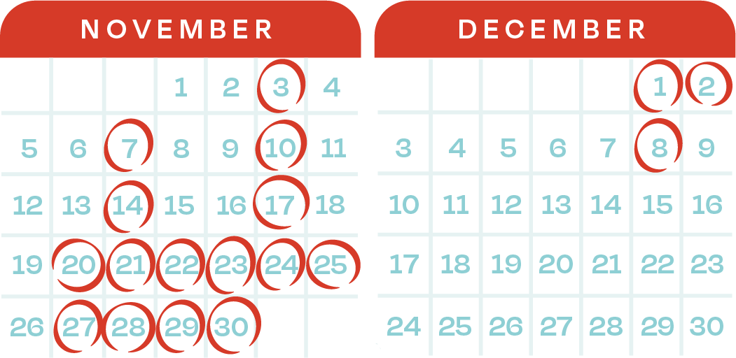 November and December calendar with dates circled in red