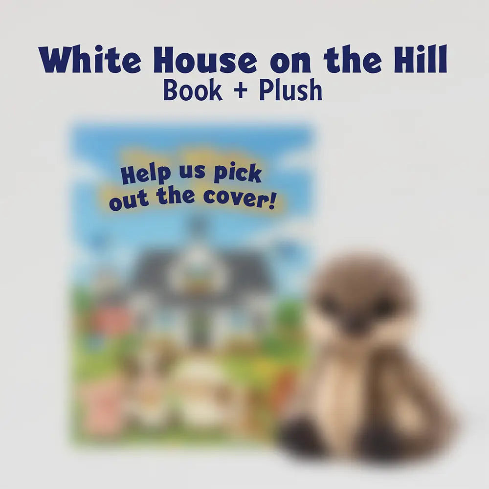 White House on the Hill Book